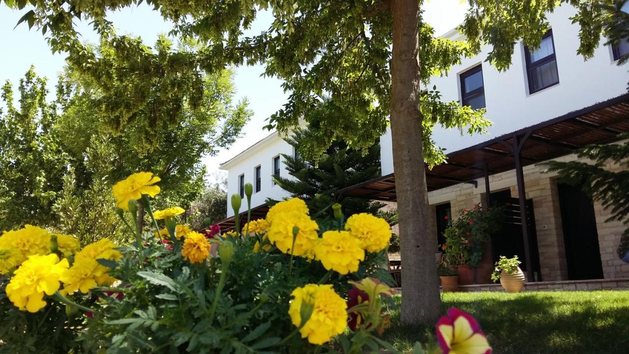 Sivota Apartments Athina 外观 照片